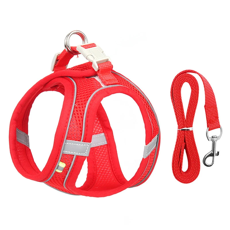 mesh harness and leash set, view 15 - MRSLM
