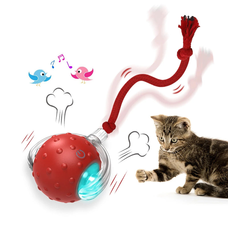 interactive cat rolling ball, view 2 - MRSLM
