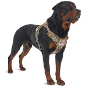adjustable tactical dog harness, view 3 - MRSLM