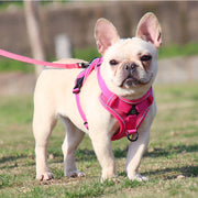 no-pull dog harness and leash set, view 30 - MRSLM
