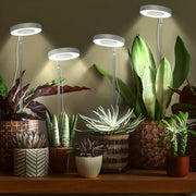 led angel ring plant grow light - MRSLM