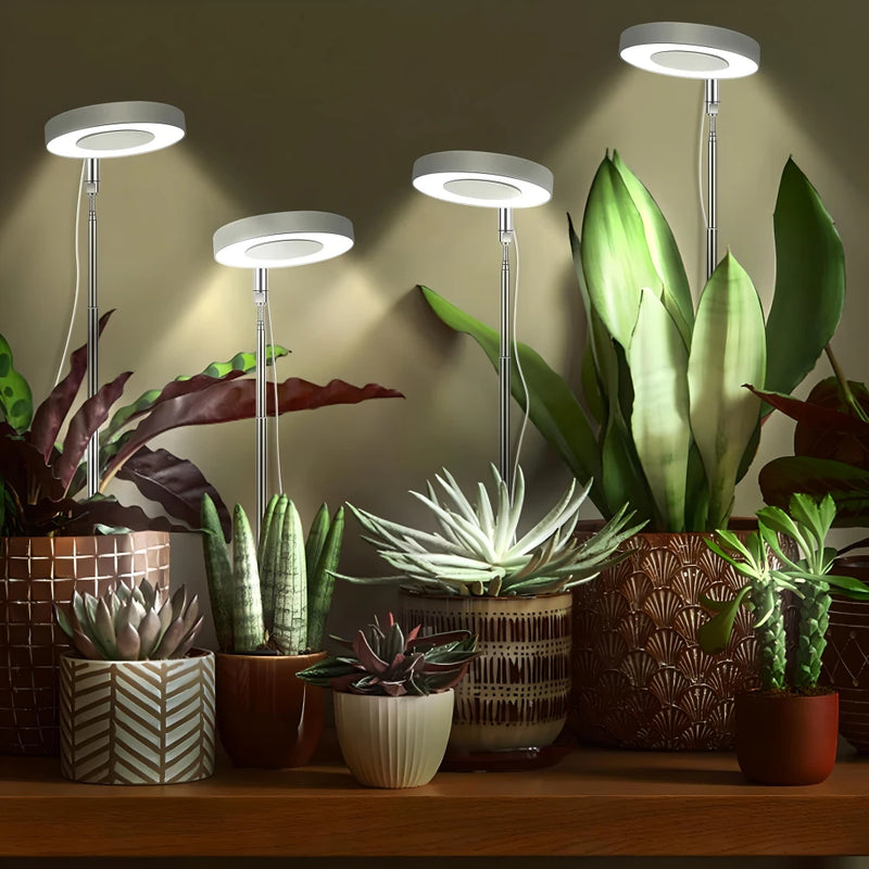 led angel ring plant grow light - MRSLM