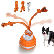 Motion-activated dog toy ball - MRSLM