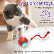 interactive cat rolling ball, view 4 - MRSLM