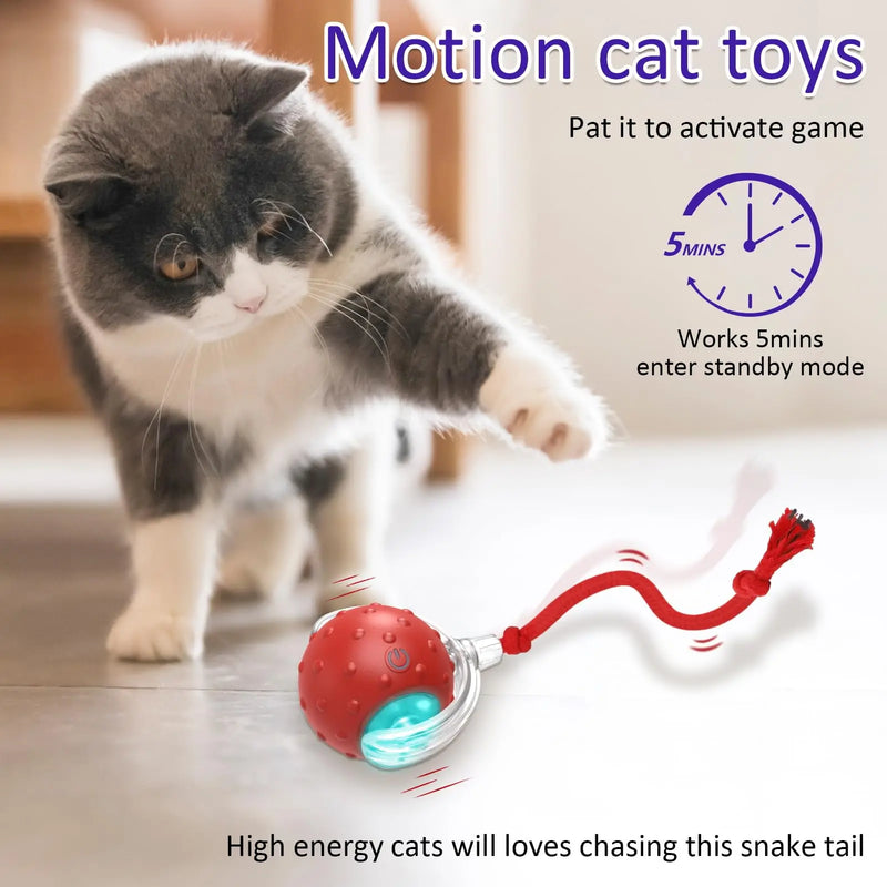 interactive cat rolling ball, view 4 - MRSLM