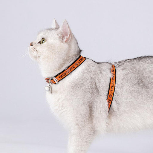 cat H-shape harness and leash set, view 5 - MRSLM