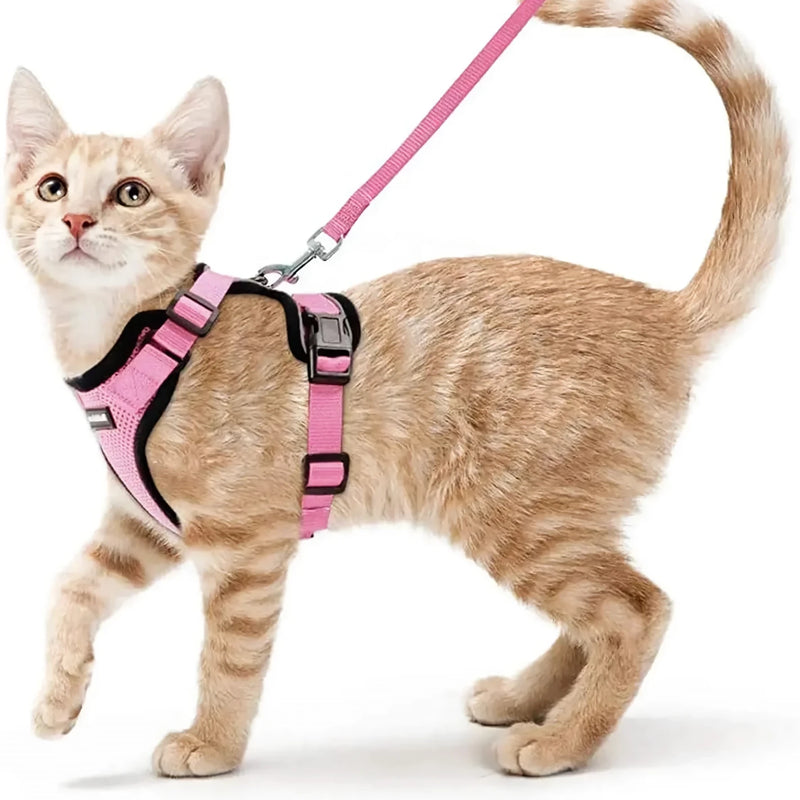 cat harness and leash, view 17 - MRSLM