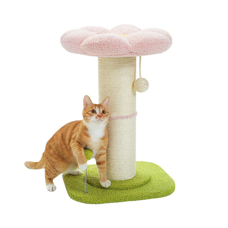 small cat scratching post with sisal and spring ball, view 7 - MRSLM