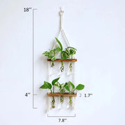 wooden hydroponic wall vase, view 7 - MRSLM