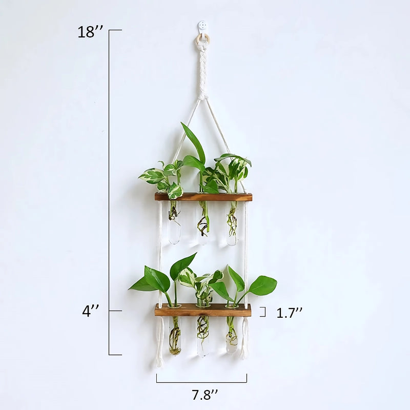 wooden hydroponic wall vase, view 7 - MRSLM