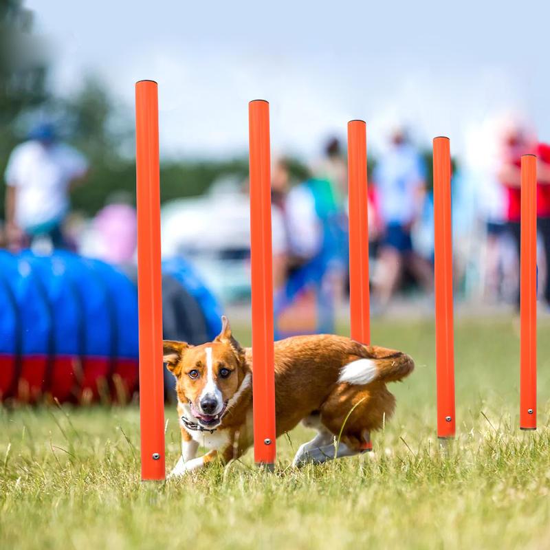 dog agility jumping tool - MRSLM