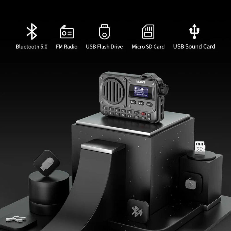 portable Bluetooth speaker with LCD and FM radio, view 4 - MRSLM