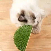Durian cat toy scratch comb, view 7 - MRSLM