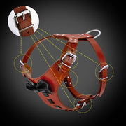 genuine leather dog harness with bowknot, view 4 - MRSLM