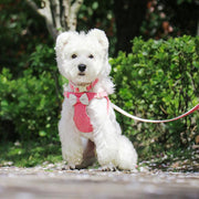adjustable bowtie collar, leash and harness set, view 6 - MRSLM