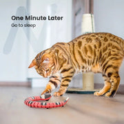 electronic snake cat teaser, view 5 - MRSLM