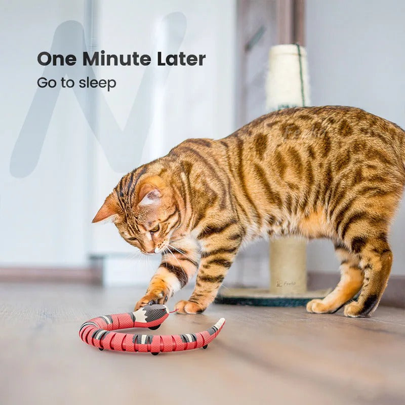 electronic snake cat teaser, view 5 - MRSLM