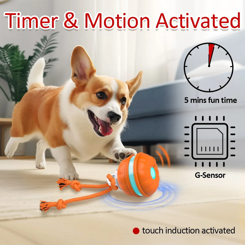 Motion-activated dog toy ball, view 4 - MRSLM