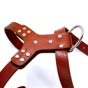genuine leather dog harness with bowknot, view 6 - MRSLM