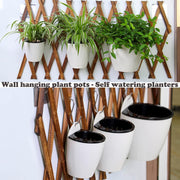 wall-mounted hydroponic flowerpot, view 4 - MRSLM
