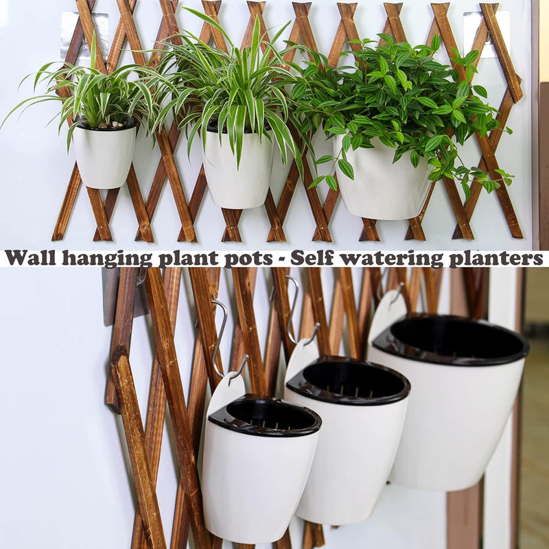 wall-mounted hydroponic flowerpot, view 4 - MRSLM