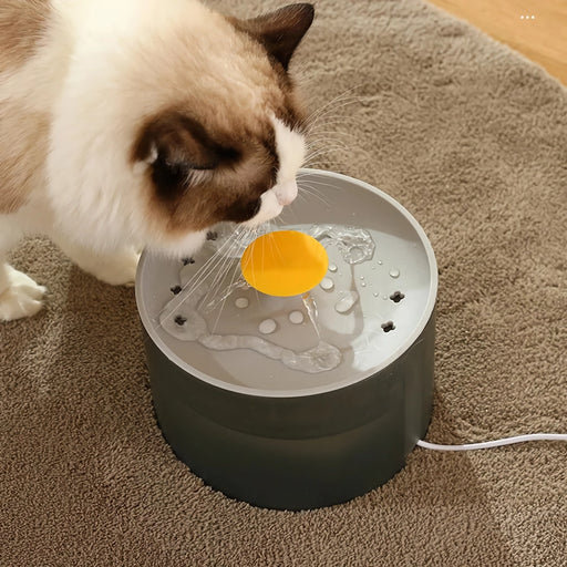 automatic pet water dispenser - MRSLM