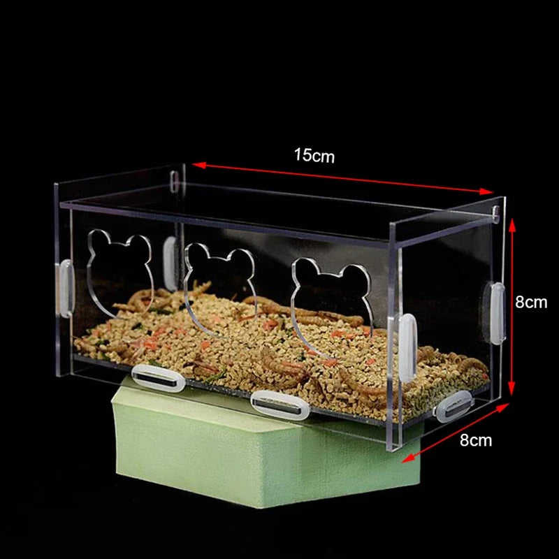 acrylic bird feeder with cuttlebone holder, view 3 - MRSLM