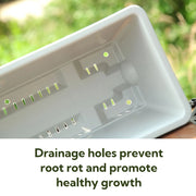 plastic vegetable planter with drain holes, view 8 - MRSLM