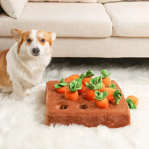 interactive plush carrot farm dog toy - MRSLM