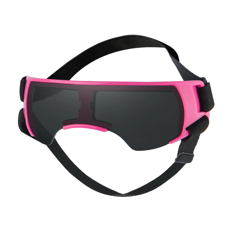 small dog sunglasses, view 2 - MRSLM