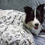 soft warm dog blanket with paw print - MRSLM