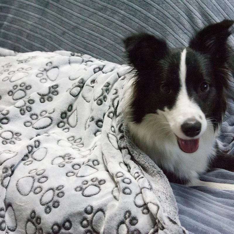 soft warm dog blanket with paw print - MRSLM