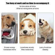 automatic dog tennis launcher, view 7 - MRSLM