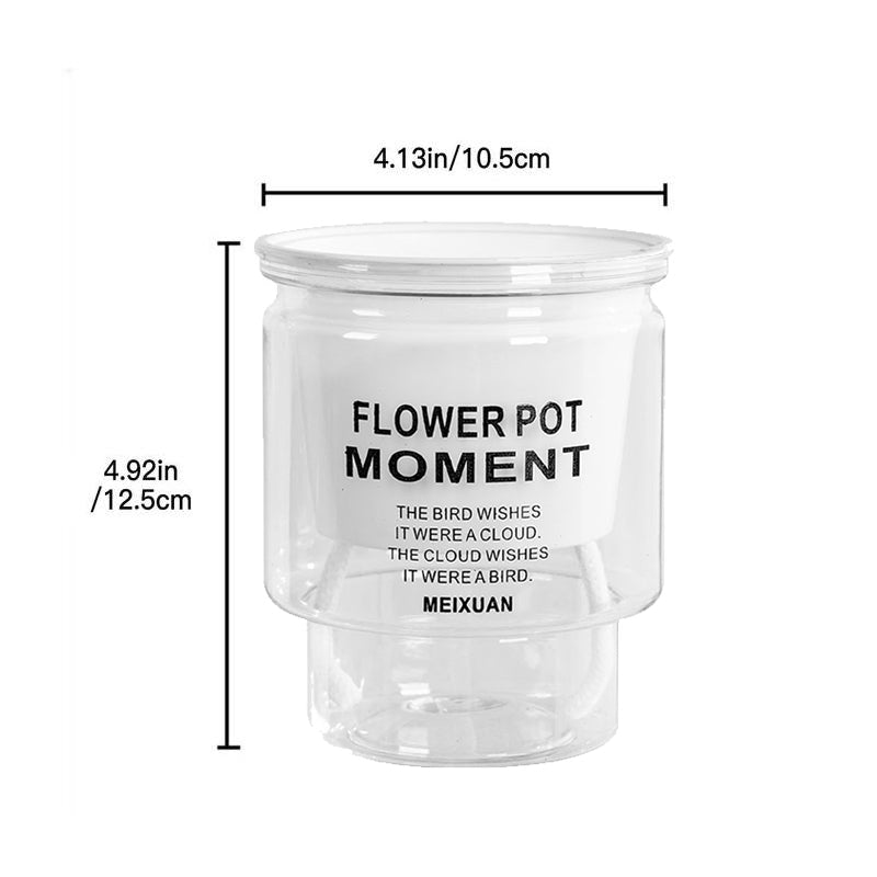 self-watering transparent succulent planter, view 2 - MRSLM