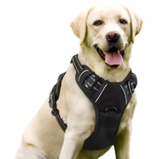 reflective dog harness and leash set - MRSLM