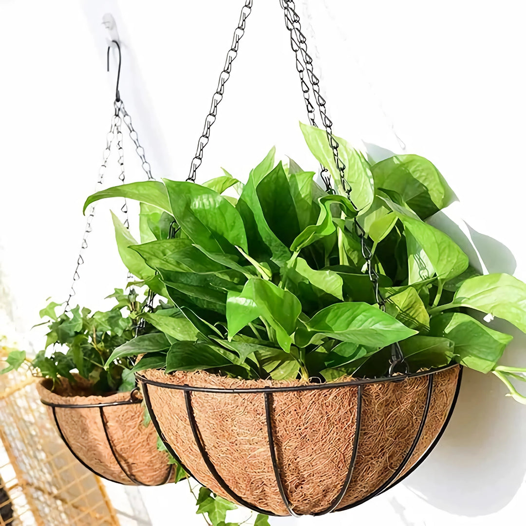 Round Metal Hanging Basket with Coconut Liner