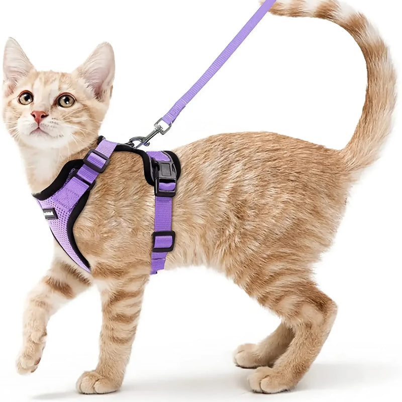 cat harness and leash, view 4 - MRSLM