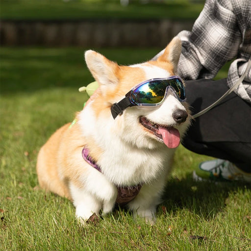 dog sunglasses windproof goggles - MRSLM