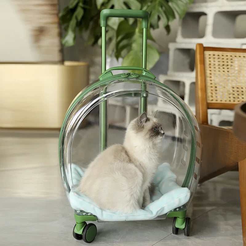 transparent pet trolley backpack, view 4 - MRSLM