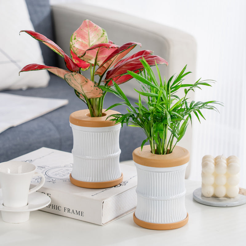 mini hydroponic flower pot, view 5 - MRSLM