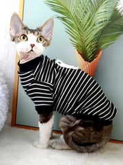 cat and small dog hoodie, view 2 - MRSLM
