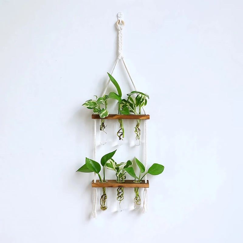 wooden hydroponic wall vase, view 3 - MRSLM