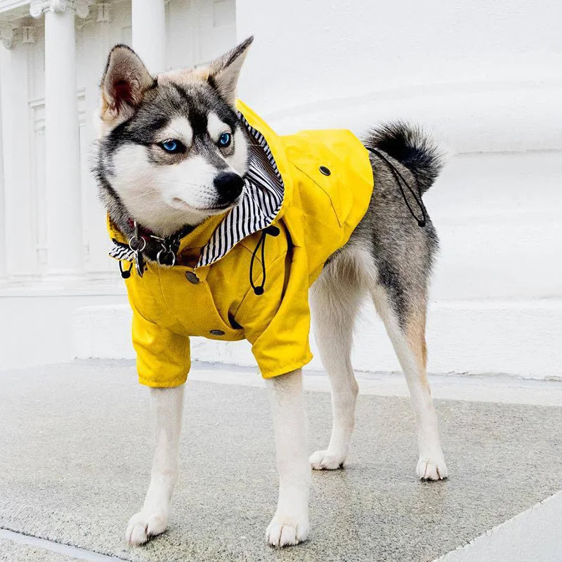 waterproof raincoat for medium and large dogs, view 3 - MRSLM
