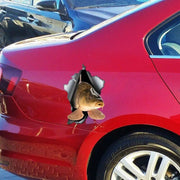 carp car decal, view 4 - MRSLM
