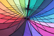 f311916311c3fbbb9183e663f5b6f57c