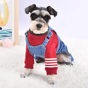 denim dog jumpsuit - MRSLM