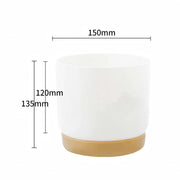 double-layer self-watering succulent plant pot, view 3 - MRSLM