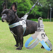 reflective mesh dog harness vest, view 6 - MRSLM