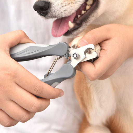 stainless steel pet nail clippers - MRSLM