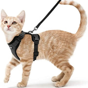 cat harness and leash, view 15 - MRSLM